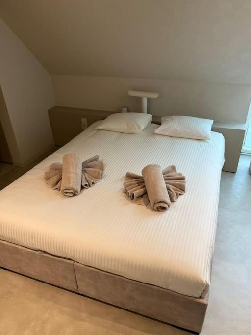 House Stellar Appartement *